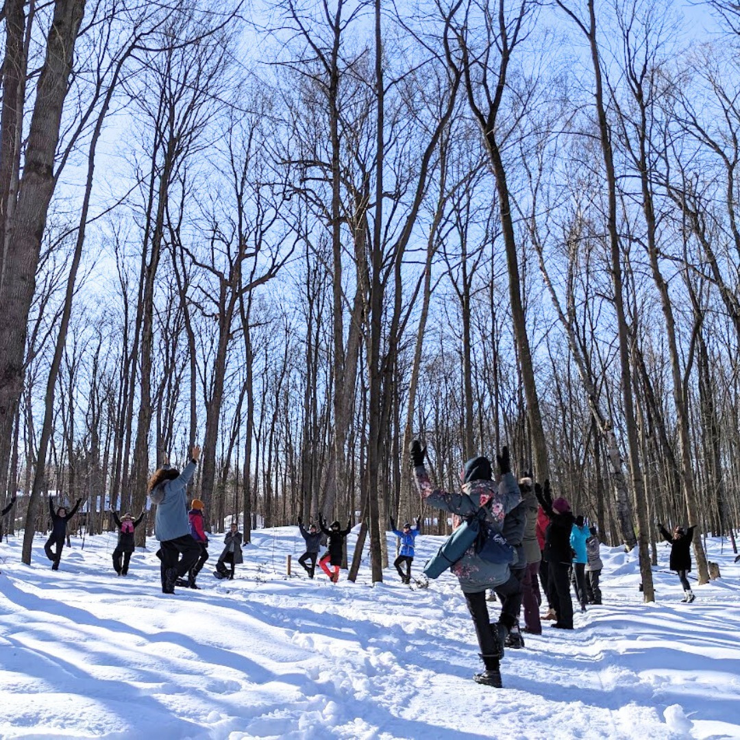 Naturaktive_BainForet_Hiver